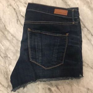 NWOT Abercrombie and Fitch Shorts